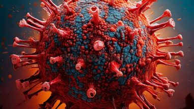 Cybersecurity Threats: Understanding, Impact, And Prevention